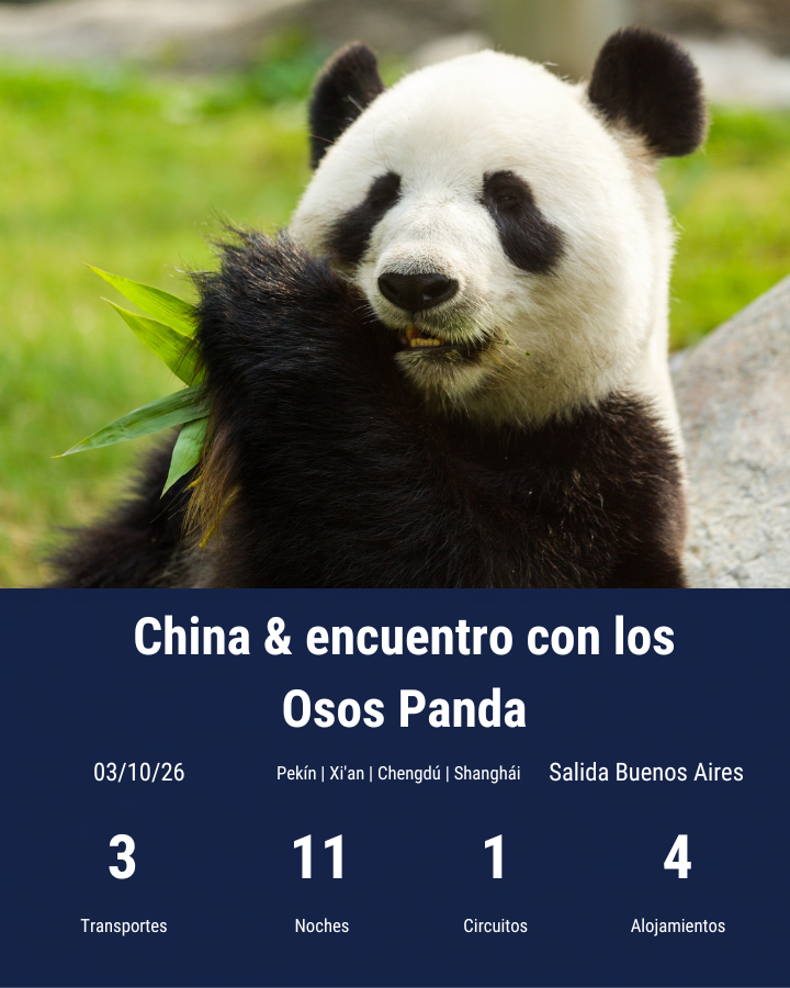 China & encuentro con los Osos Panda-oct 2026