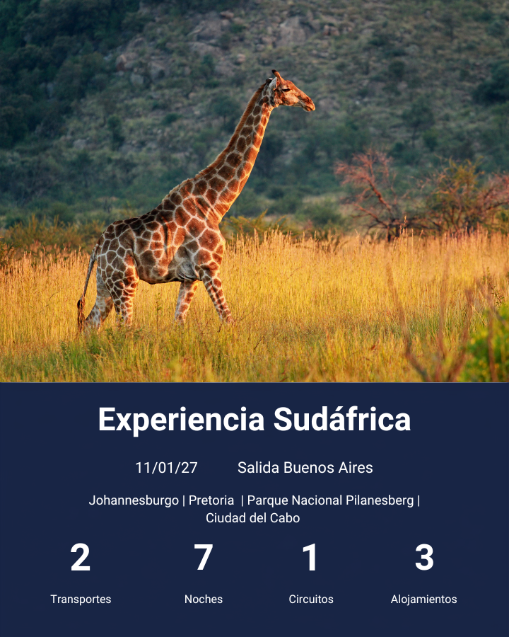 Experiencia Sudáfrica-ene 2027