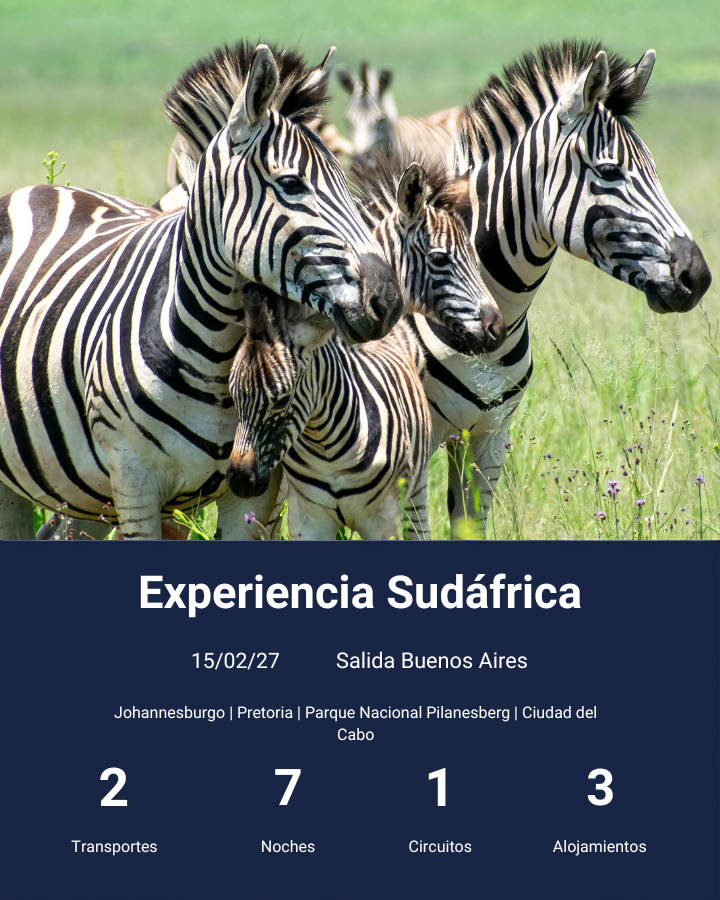 experiencia sudafrica-feb 2027